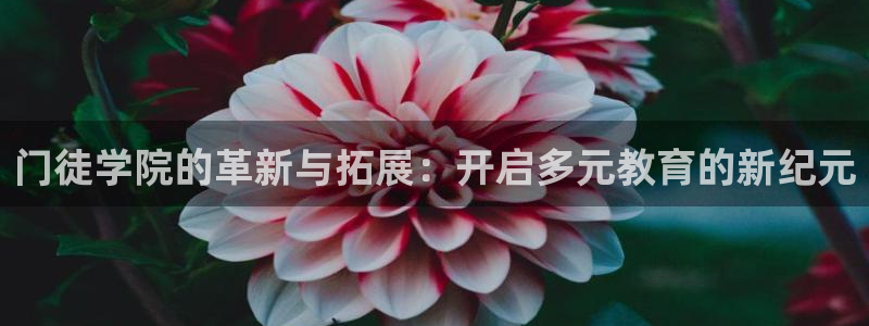 福建杏悦机电股份公司：门徒学院的革新与拓展：开启多元教育的新纪元