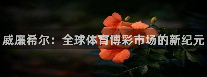 杏悦2官网：威廉希尔：全球体育博彩市场的新纪元