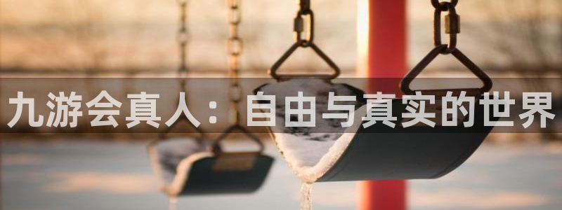 杏悦体育平台注册：九游会真人：自由与真实的世界