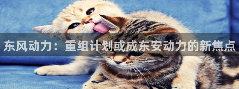杏悦3官网：东风动力：重组计划或成东安动力的新焦点