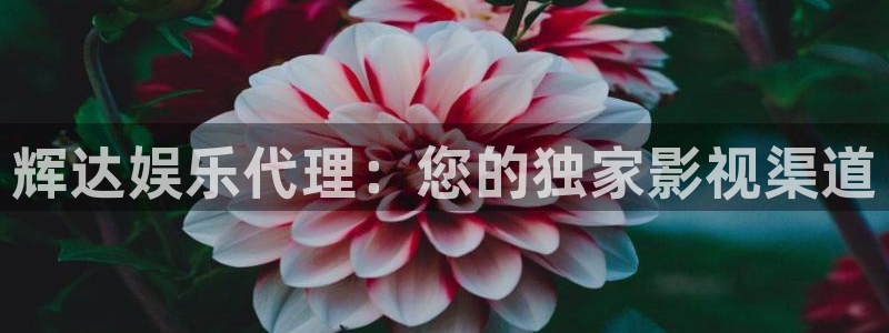杏悦集团总部：辉达娱乐代理：您的独家影视渠道