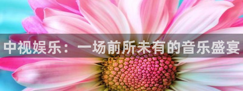 杏悦体育凯捷登陆：中视娱乐：一场前所未有的音乐盛宴