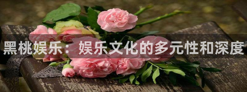 杏悦4官网：黑桃娱乐：娱乐文化的多元性和深度