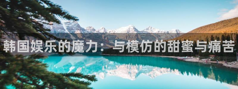 杏悦体育平台总代理：韩国娱乐的魔力：与模仿的甜蜜与痛苦
