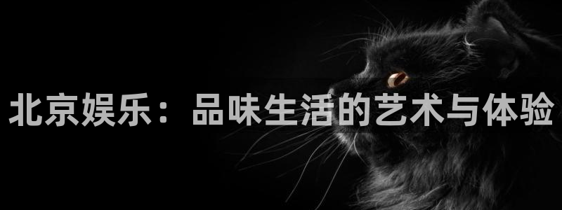 杏悦体育注册登录入口：北京娱乐：品味生活的艺术与体验