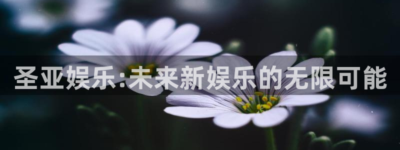 杏悦3登录：圣亚娱乐:未来新娱乐的无限可能