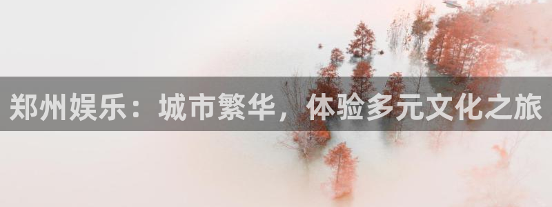 杏悦平台总代理：郑州娱乐：城市繁华，体验多元文化之旅