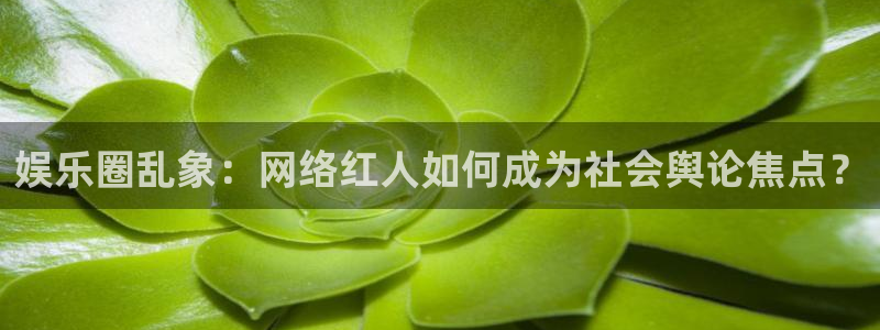 杏悦体育娱乐注册链接：娱乐圈乱象：网络红人如何成为社会舆论焦点？
