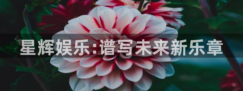 杏悦平台开户：星辉娱乐:谱写未来新乐章
