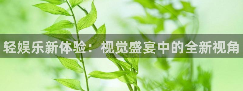 杏悦体育1招商：轻娱乐新体验：视觉盛宴中的全新视角