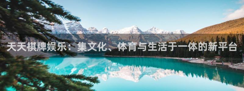 杏悦能源：天天棋牌娱乐：集文化、体育与生活于一体的新平台