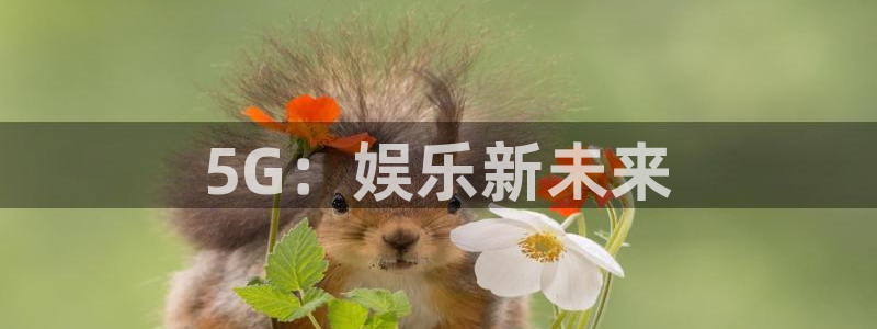 杏悦平台开户