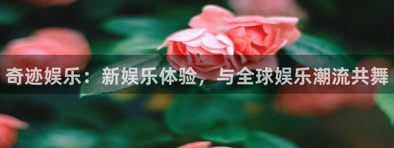 杏悦2体育登录入口：奇迹娱乐：新娱乐体验，与全球娱乐潮流共舞
